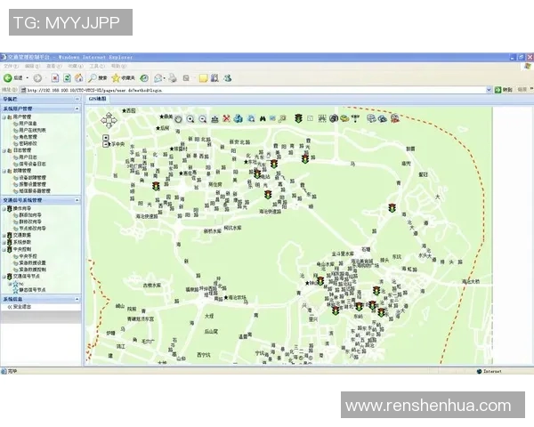 重庆羽毛球队的控制策略与发展现状深度解析